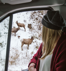 a woman in a hat is looking at a deer